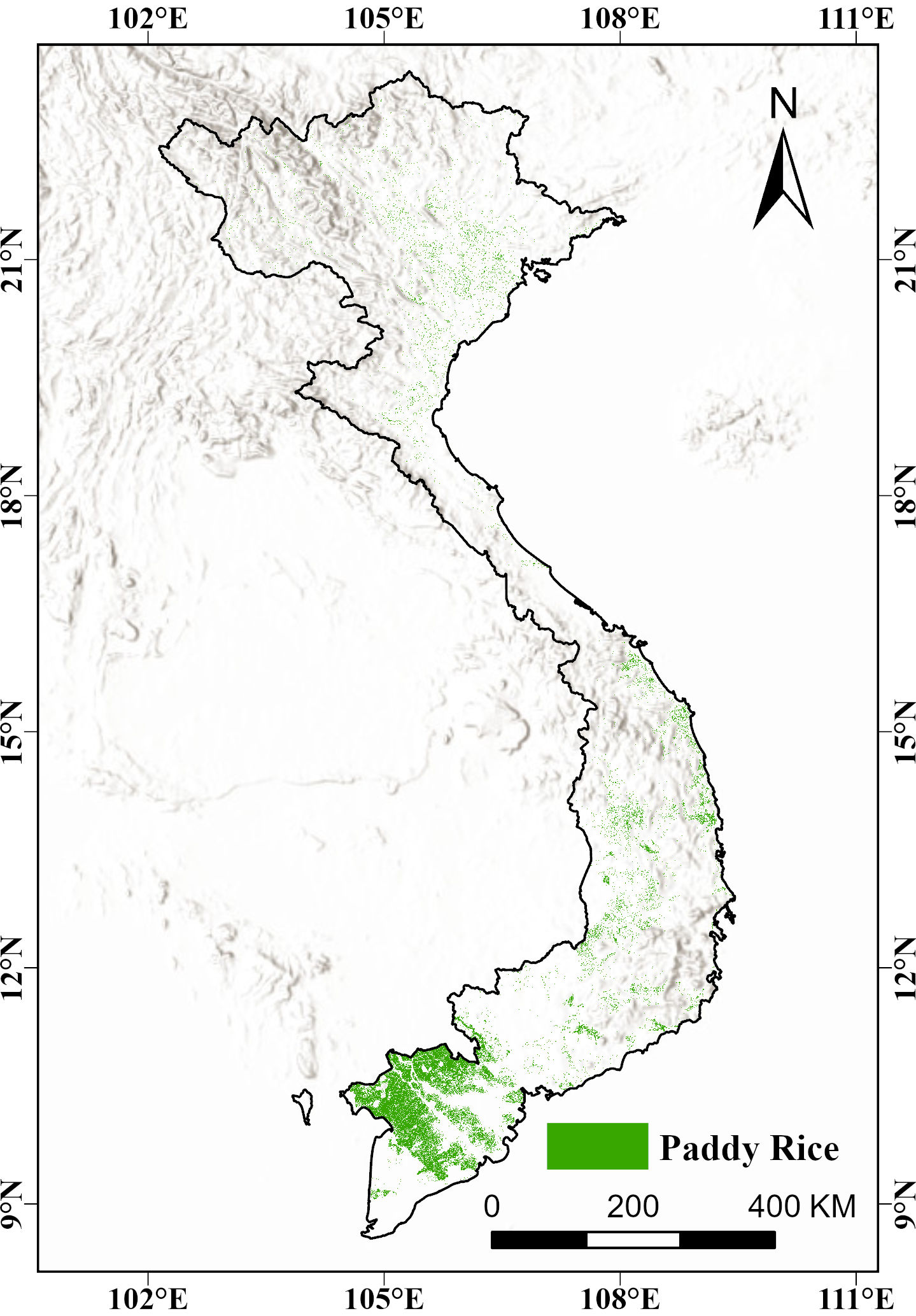 Vietnam_paddyrice_2025_20250224190227A249.jpg